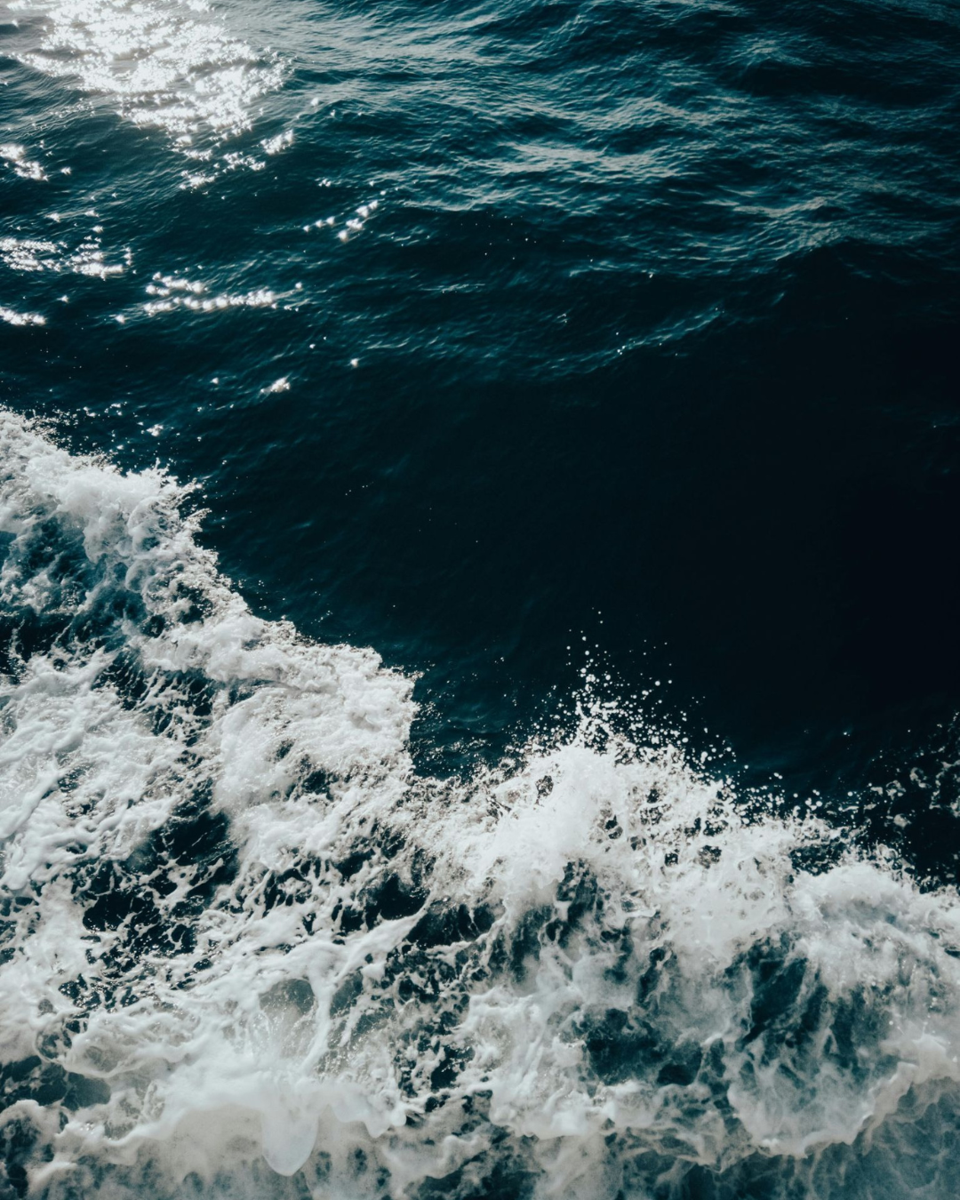 COSMÉTICA MARINA AVANZADA